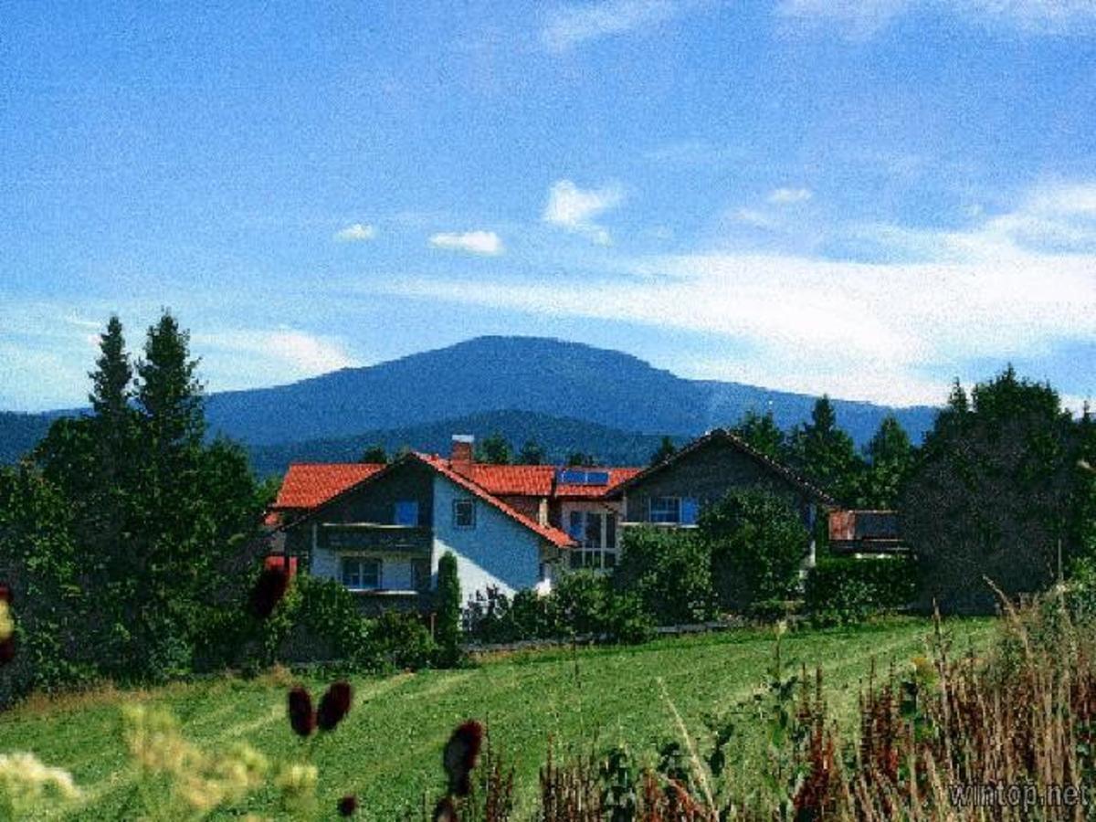 Pension Landhaus Hochfeld Zwiesel Exterior foto